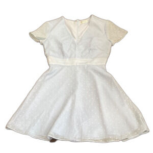 Superdown Bree Blue A-Line Swiss Dot Dress